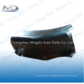 RENAULT TRUCK MUDGUARD